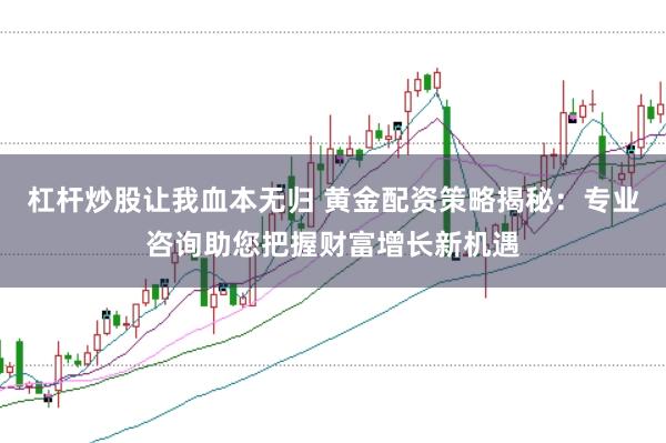 杠杆炒股让我血本无归 黄金配资策略揭秘：专业咨询助您把握财富增长新机遇