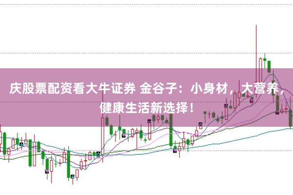 庆股票配资看大牛证券 金谷子：小身材，大营养，健康生活新选择！