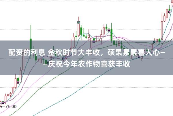 配资的利息 金秋时节大丰收，硕果累累喜人心——庆祝今年农作物喜获丰收