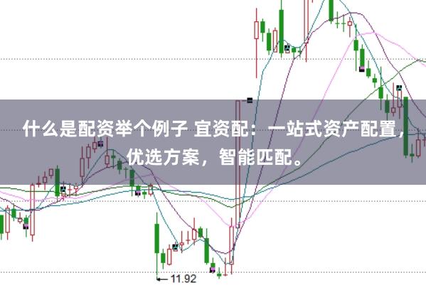 什么是配资举个例子 宜资配：一站式资产配置，优选方案，智能匹配。