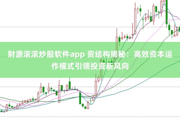 财源滚滚炒股软件app 资结构揭秘：高效资本运作模式引领投资新风向
