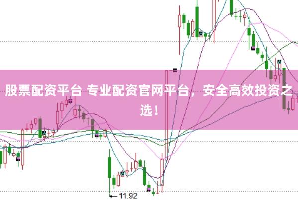 股票配资平台 专业配资官网平台，安全高效投资之选！