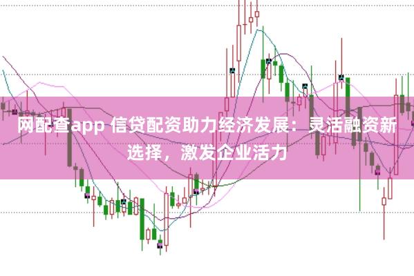 网配查app 信贷配资助力经济发展：灵活融资新选择，激发企业活力
