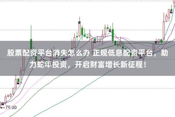 股票配资平台消失怎么办 正规低息配资平台，助力蛇年投资，开启财富增长新征程！