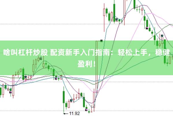 啥叫杠杆炒股 配资新手入门指南：轻松上手，稳健盈利！