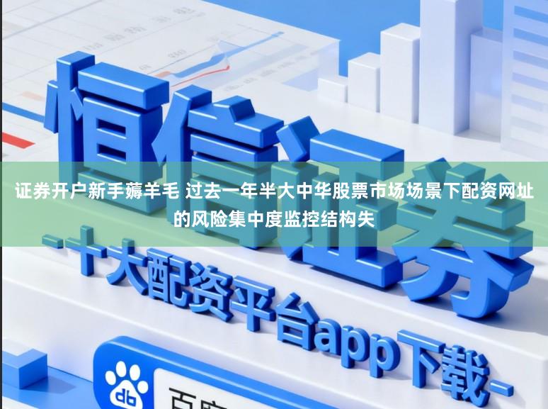 证券开户新手薅羊毛 过去一年半大中华股票市场场景下配资网址的风险集中度监控结构失