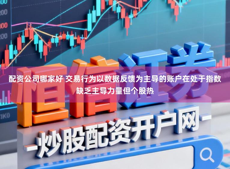 配资公司哪家好 交易行为以数据反馈为主导的账户在处于指数缺乏主导力量但个股热