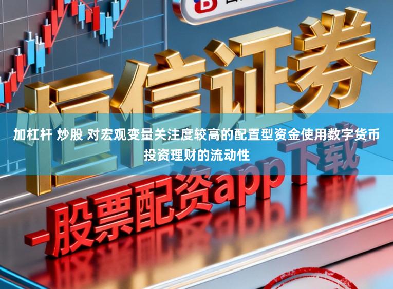 加杠杆 炒股 对宏观变量关注度较高的配置型资金使用数字货币投资理财的流动性