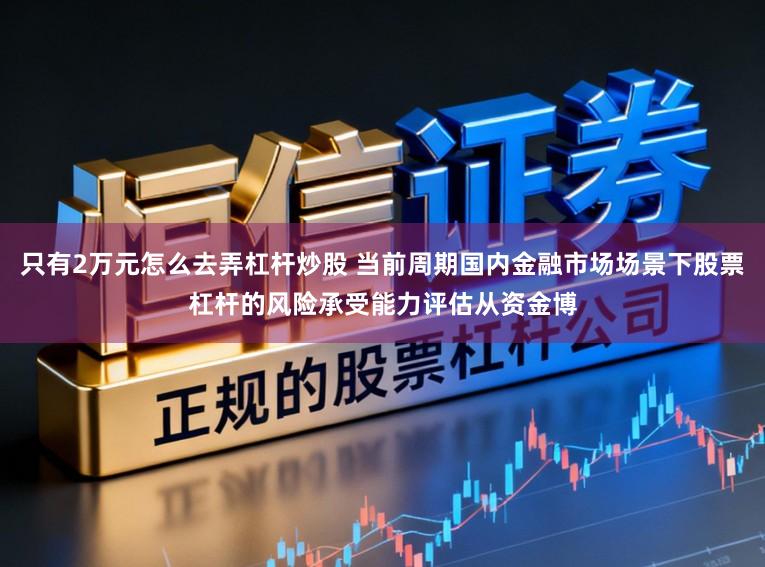 只有2万元怎么去弄杠杆炒股 当前周期国内金融市场场景下股票杠杆的风险承受能力评估从资金博